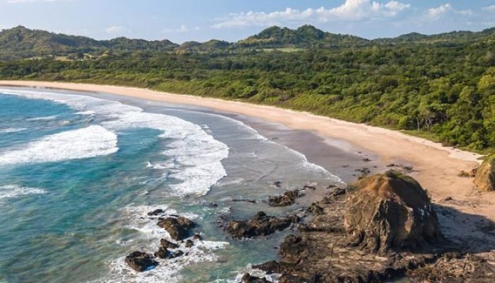 Tamarindo